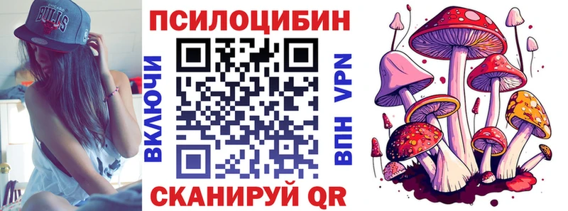 Псилоцибиновые грибы Cubensis  как найти закладки  Заволжск 
